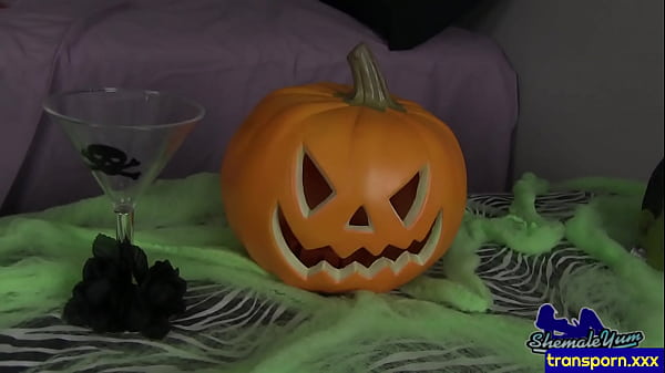 Gorgeous shemale honey strips down and wanks